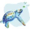Turtle 03
