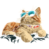 Cat with sunglasses