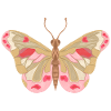 Pink Butterfly – Playful Design