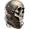 Skull