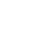 Elementary Teacher Limited Edition