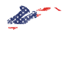 Saxophones American Flag