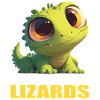 Lizards Lizard