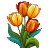 Tulips