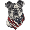 Bulldogge