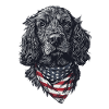 Cocker Spaniel