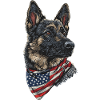 Deutscher Schäferhund