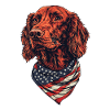 Irish Setter