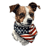 Jack Russell Terrier