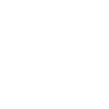 Deutsch Drahthaar Portrait Hunde Jagdhund