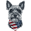 Zwergschnauzer