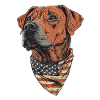 Rhodesian Ridgeback