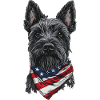 Scottish Terrier