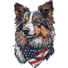 Shetland Sheepdog