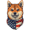 Shiba Inu