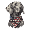 Weimaraner