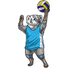 Badger Volleyball Player Volleyball
