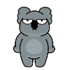 Miś koala