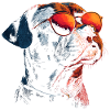 Boxer with sunglasses - dog