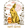 Osterhase im Abendsonnenglanz