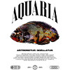 Oscar Fish Keeper Modern Streetwear
