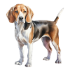 Beagle Dog - Hunting Animals