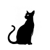 Letter D with cat