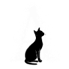 Lettre A avec chat