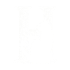 Buchstabe H mit Katze