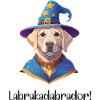 Labrakadabrador