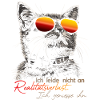 Chat drôle