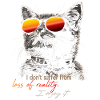 Chat avec du style