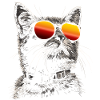 Cats are heroes