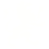 Lion Animal