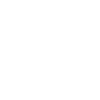 Professional Gamer