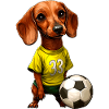 Teckel de football
