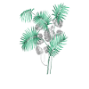 Tropical Leaves Design