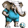 Soccer Elephant