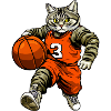 Basketball Cats
