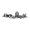 Canine