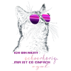 Katze egal