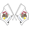 Two flags crossed Illinois
