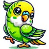 budgerigar