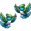 Colibri Oiseau 2