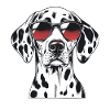 Dalmatiner mit Sonnenbrille