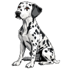 Dalmatian
