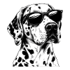Dalmatian with sunglasses