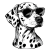 Dalmatiner mit Sonnenbrille