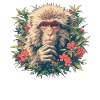 Macaque Macaque