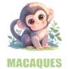 Macaque Macaque